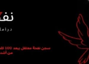 المدونة المصغرة