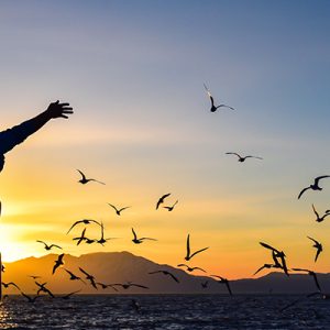 ليل غزة الفسفوري